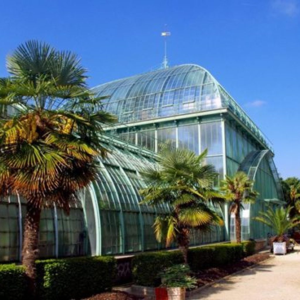 حديقة النباتات3