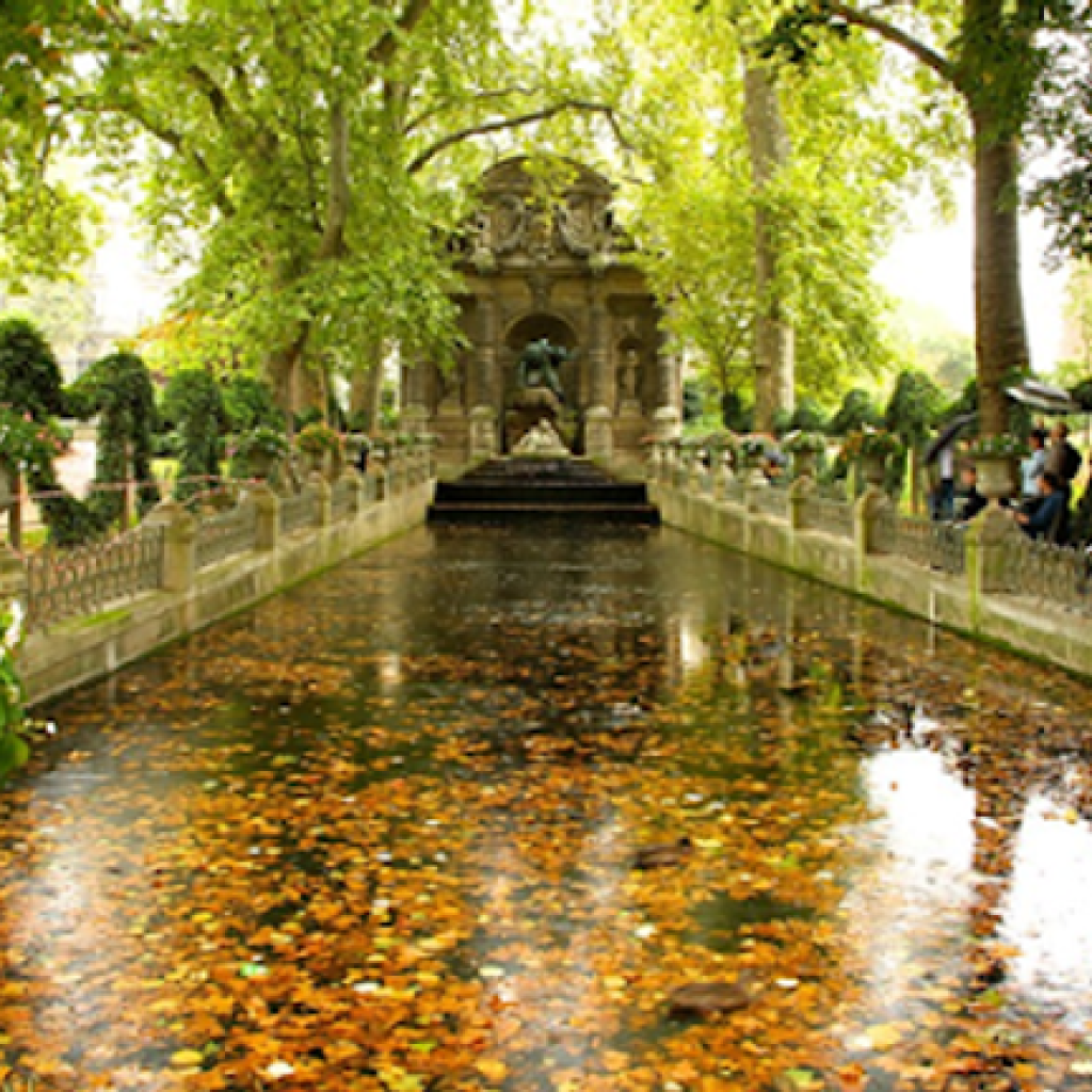 حديقة النباتات4