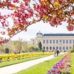 حديقة النباتات5