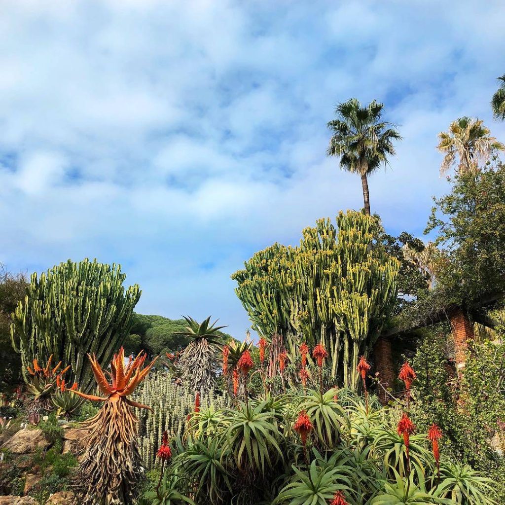 حديقة برشلونة النباتية