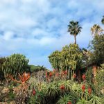 حديقة برشلونة النباتية