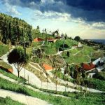 حديقة برشلونة النباتية