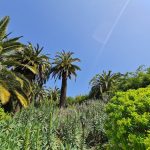 حديقة برشلونة النباتية