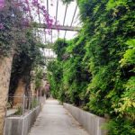 حديقة جوان ميرو