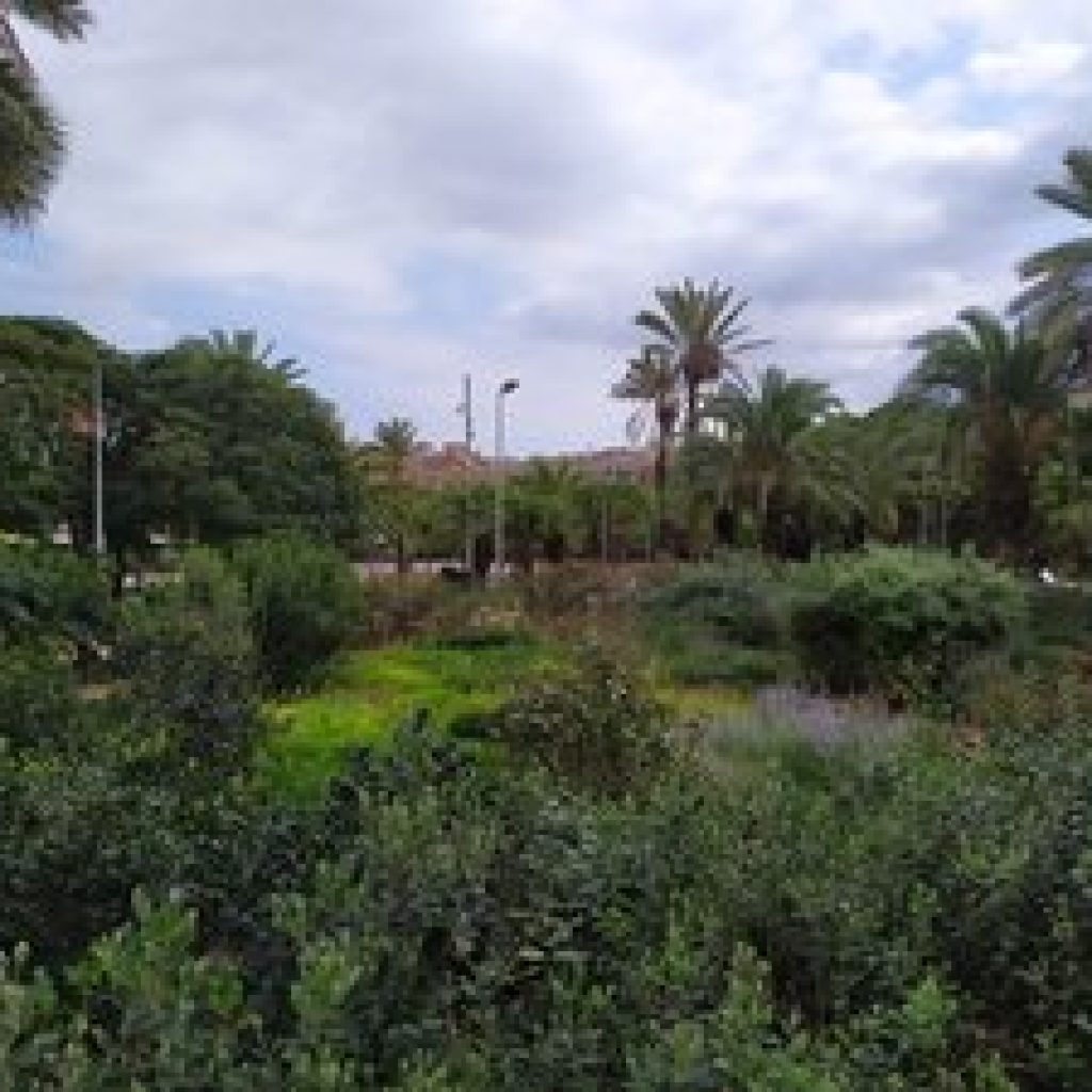 حديقة جوان ميرو