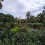 حديقة جوان ميرو