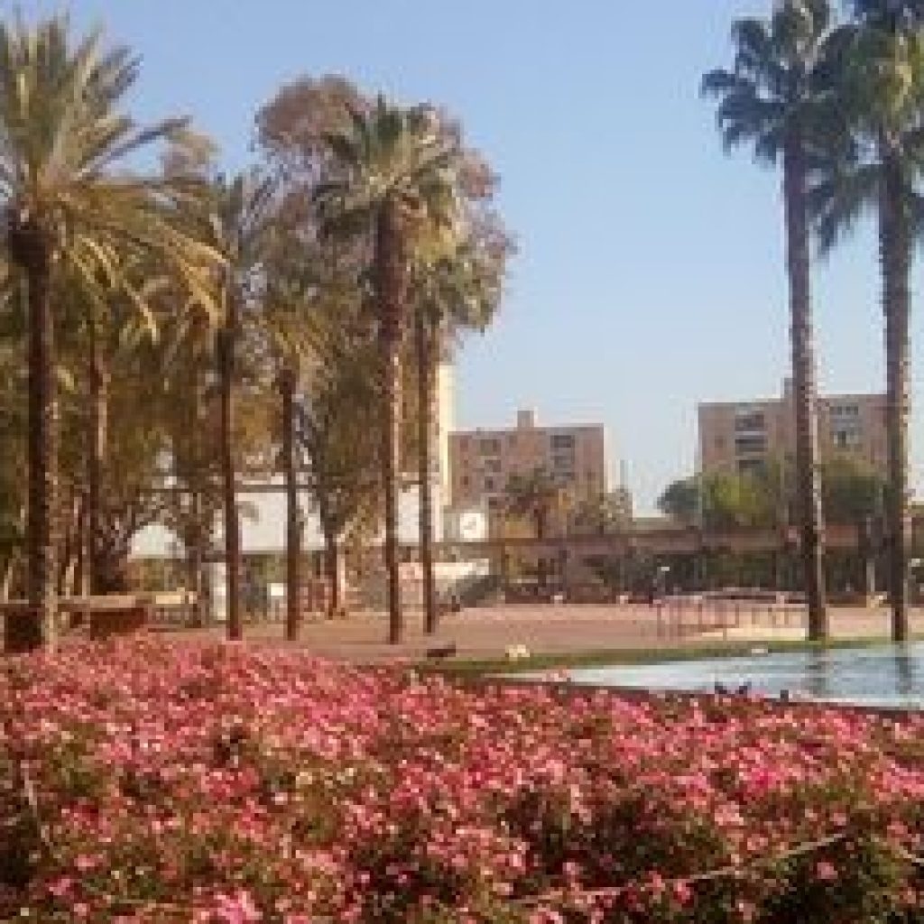 حديقة جوزيف ماريا سيرا مارتي