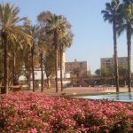 حديقة جوزيف ماريا سيرا مارتي