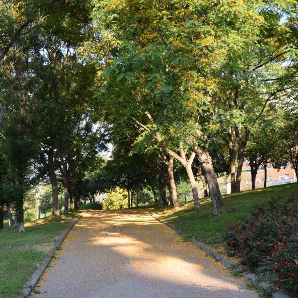 حديقة جوزيف ماريا سيرا مارتي