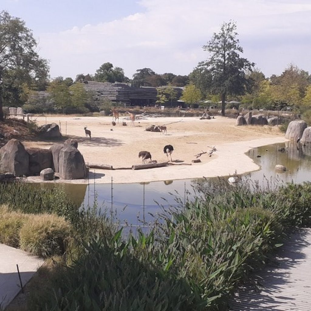 حديقة حيوان باريس5