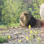 حديقة حيوان باريس3