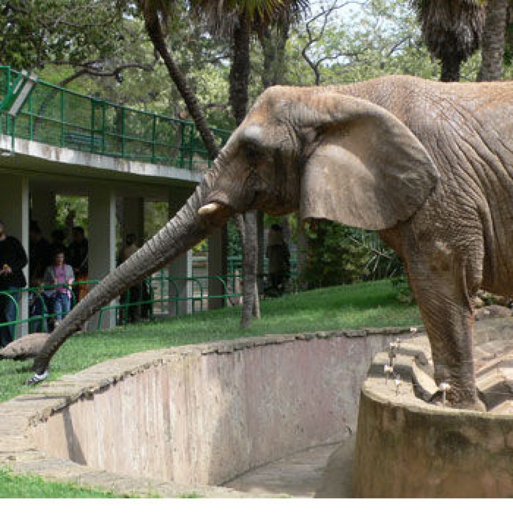 حديقة حيوانات برشلونة