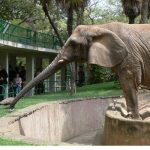 حديقة حيوانات برشلونة