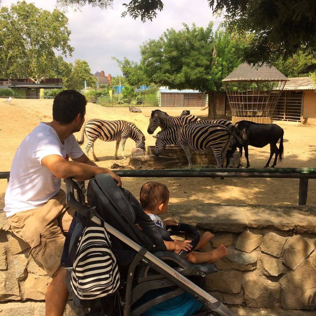 حديقة حيوانات برشلونة