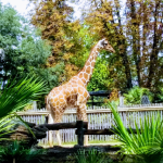 حديقة حيوان روما) حديقة حيوانات بيوباركو روما0