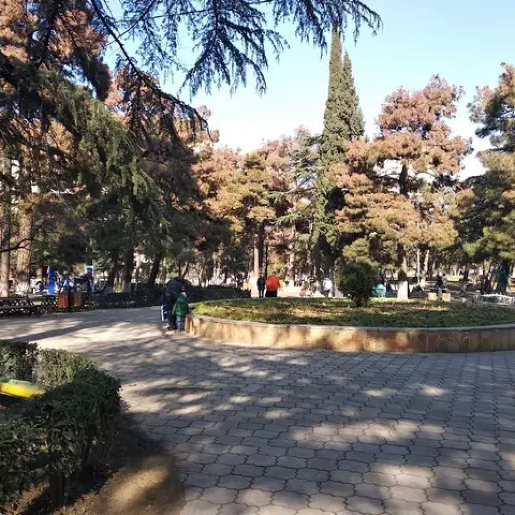 حديقة رايك44