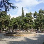 حديقة رايك55