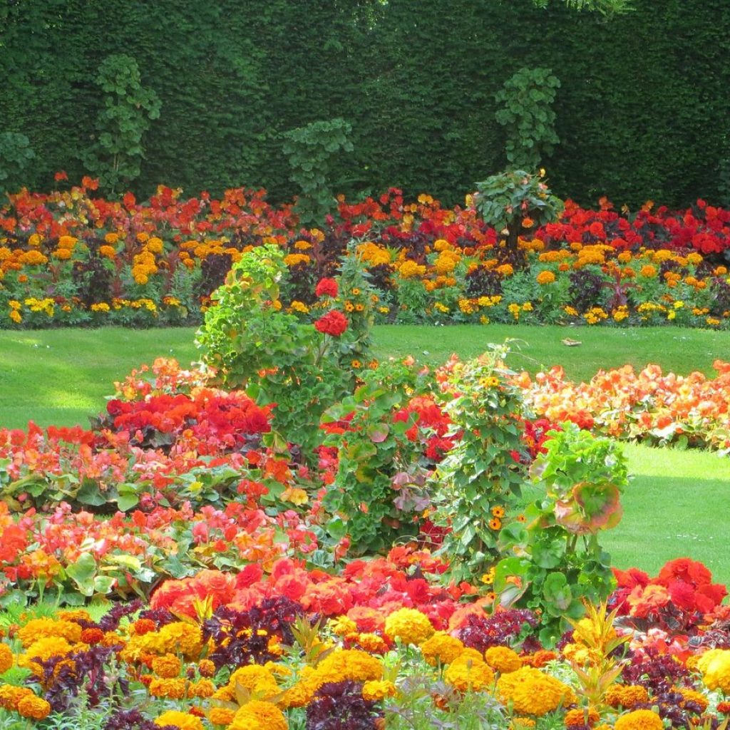 حديقة ريجنت بارك