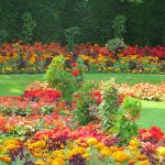 حديقة ريجنت بارك