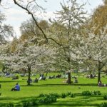 حديقة سانت جيمس بارك