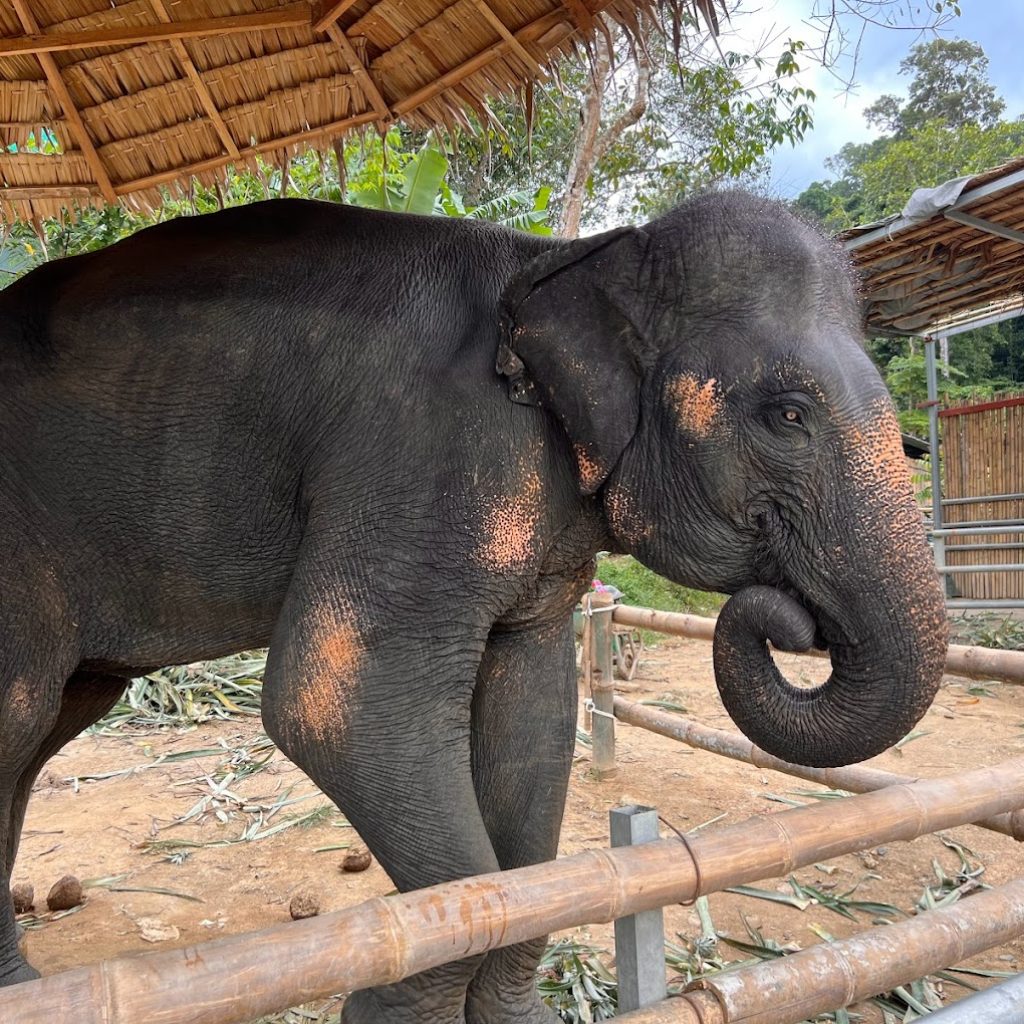 حديقة سيرينات الوطنية ٢