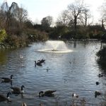 حديقة غرينتش