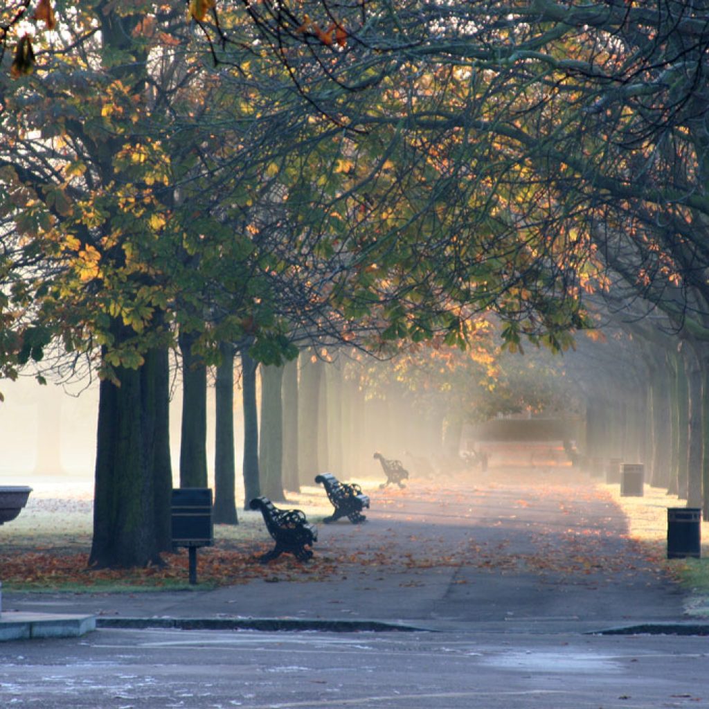 حديقة غرينتش