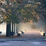 حديقة غرينتش