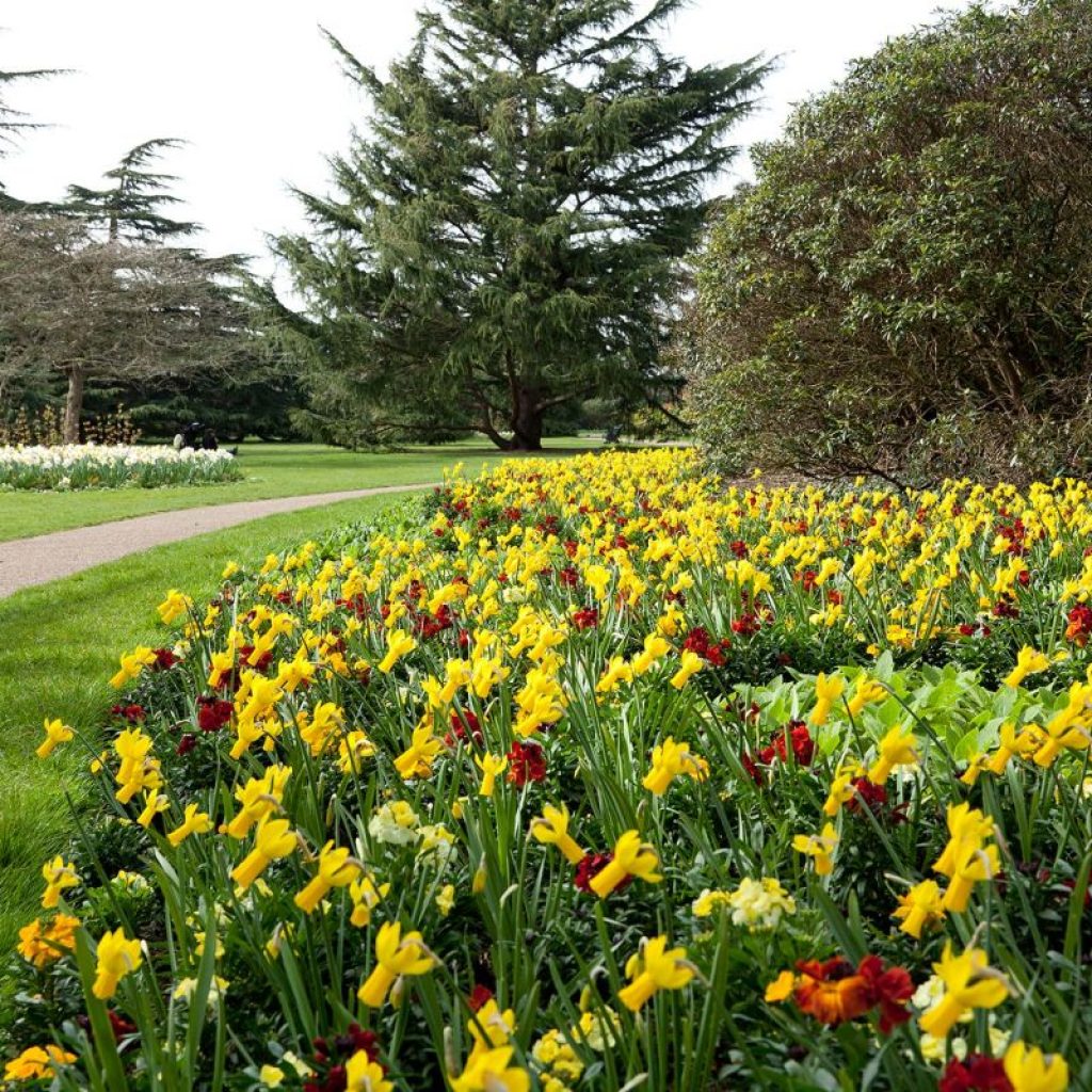 حديقة غرينتش