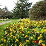 حديقة غرينتش