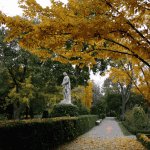 حديقة حيوانات فاونيا النباتية ١