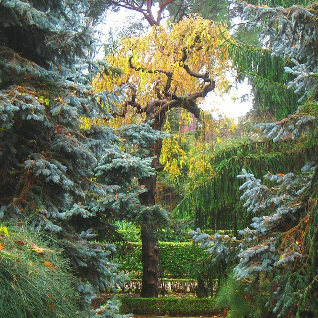 حديقة حيوانات فاونيا النباتية ٣