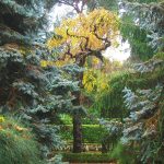 حديقة حيوانات فاونيا النباتية ٣