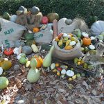 حديقة حيوانات فاونيا النباتية ٤