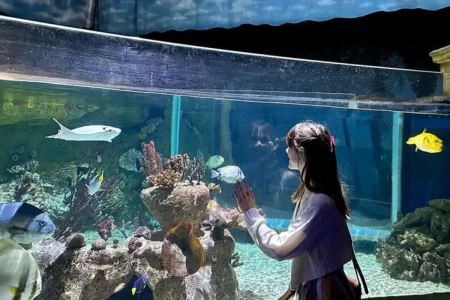 حوض الأسماك الاستوائي