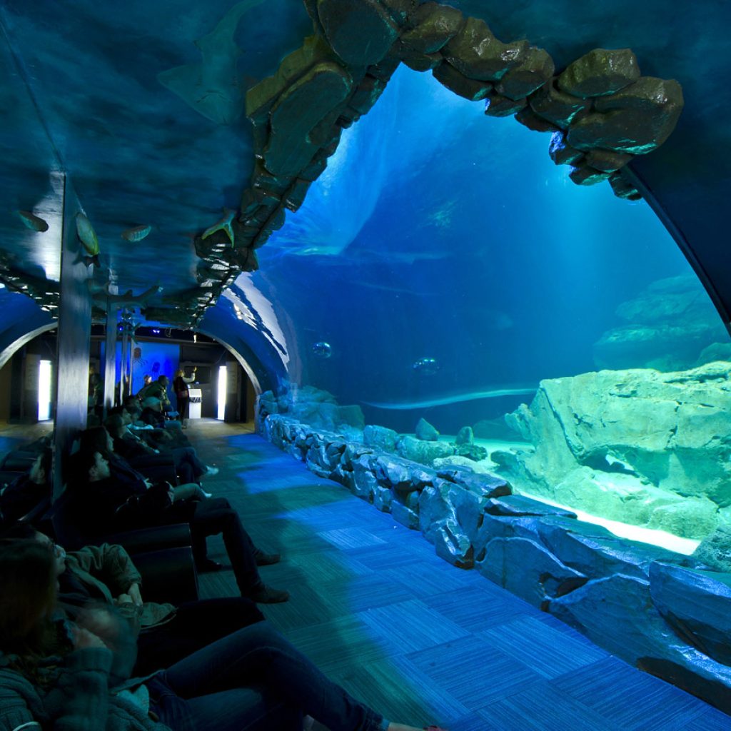 حوض سمك باريس5