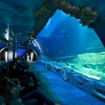 حوض سمك باريس5