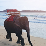 شاطئ بانج تاو ١