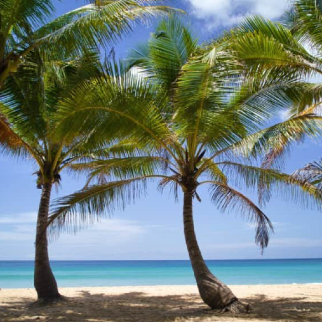 شاطئ كاتا ٢