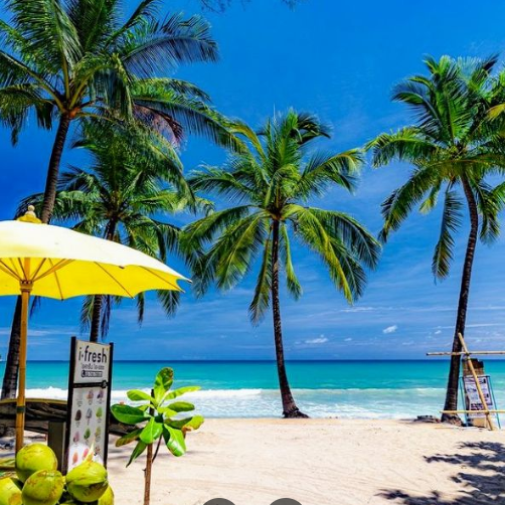 شاطئ كامالا ٣