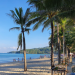 شاطئ كامالا ٥