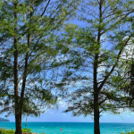 شاطئ ماي خاو ٢