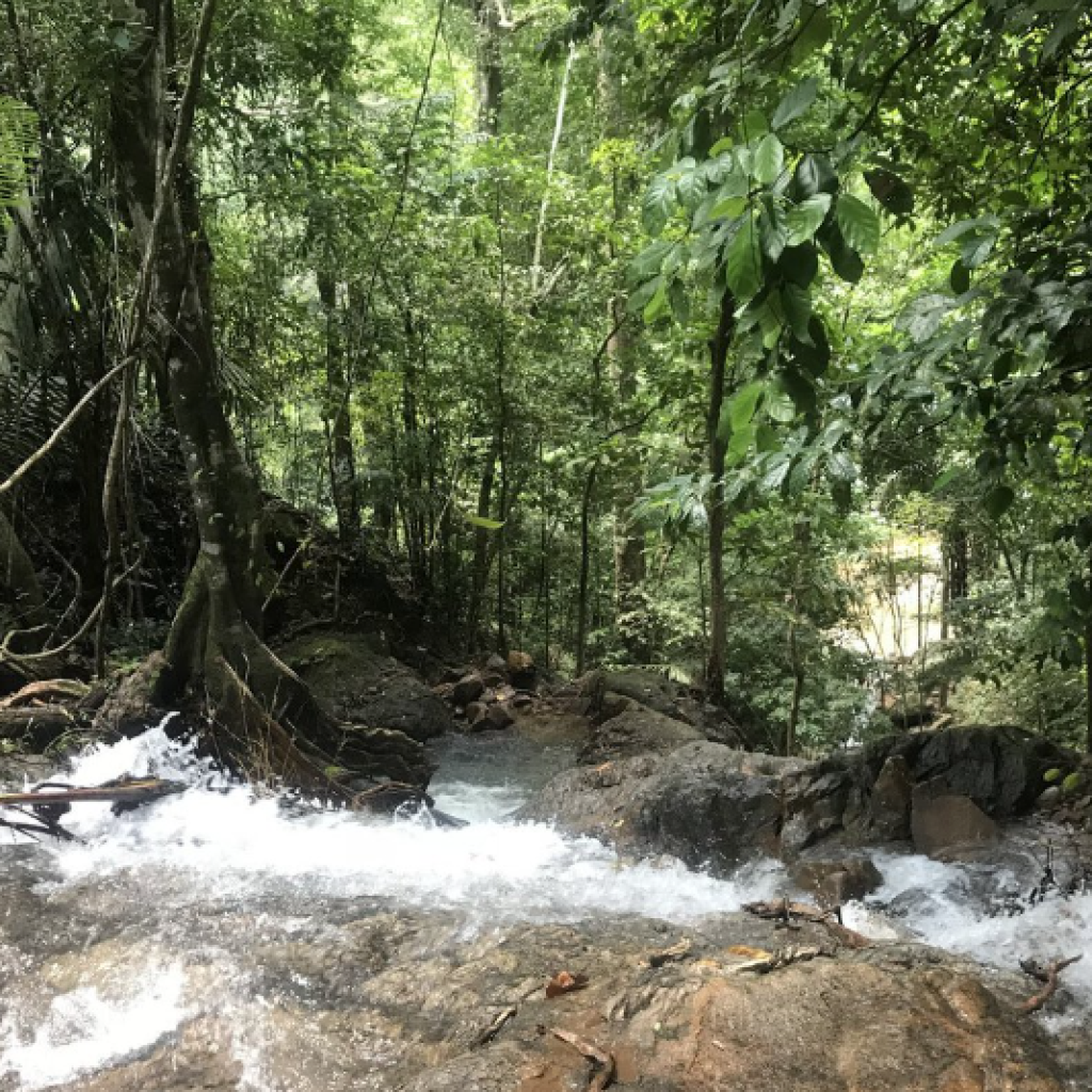 شلال تونساي