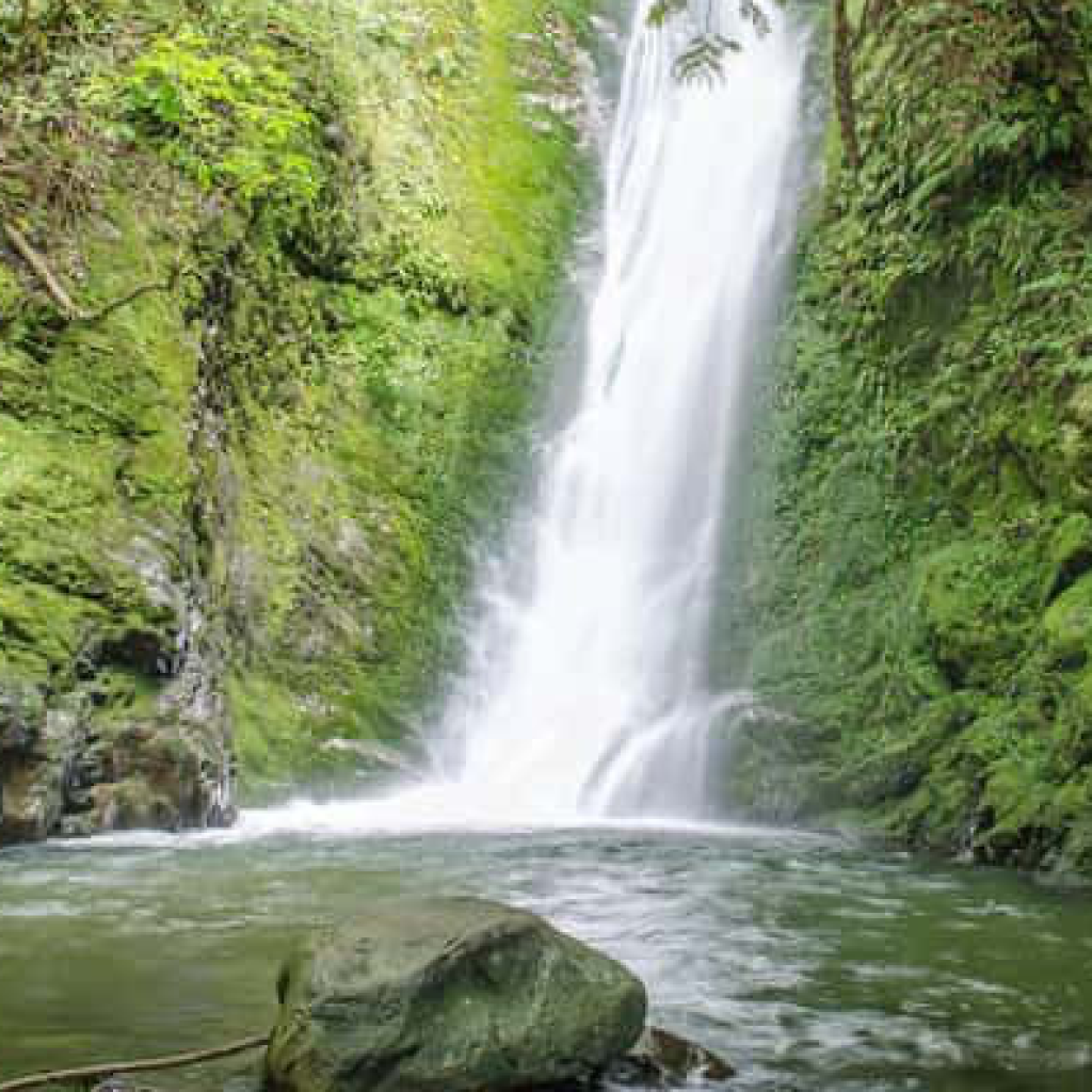 شلال تونساي 1