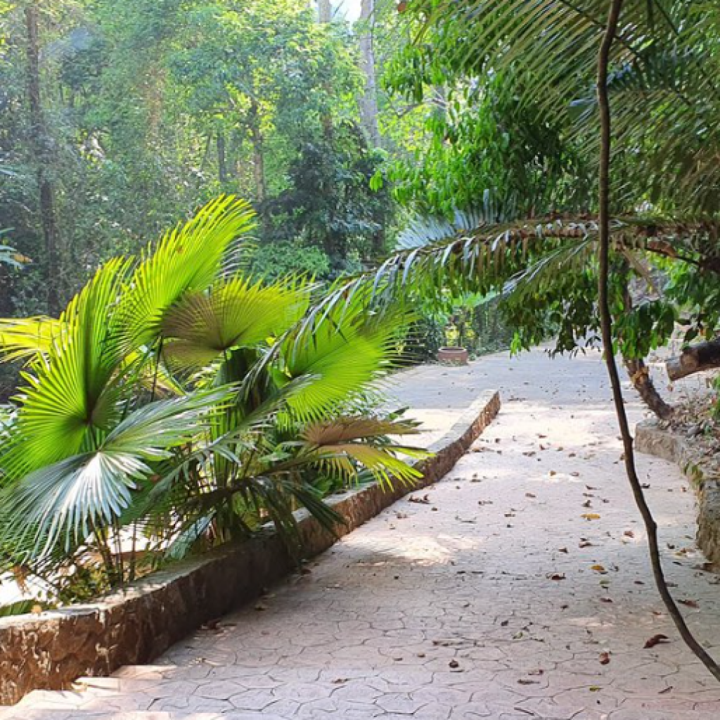 شلال تونساي 3