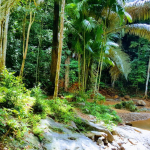 شلال تونساي 5