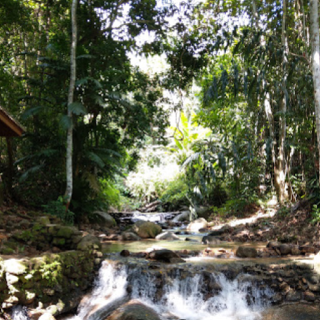 شلال كاثو ٢