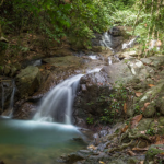 شلال كاثو ٥