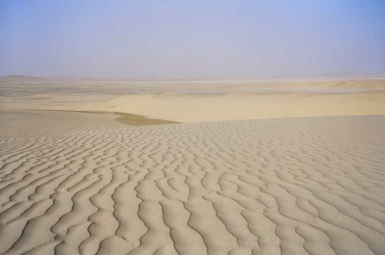 أفضل رحلات السفاري في مدينة الدوحة