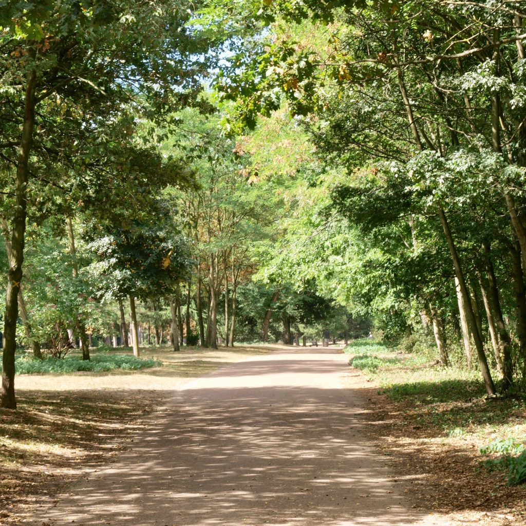 غابة بولونيا